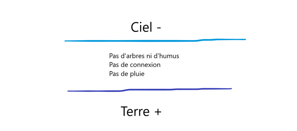 Pas d'arbres ni d'humus... la sècheresse est au rendez-vous