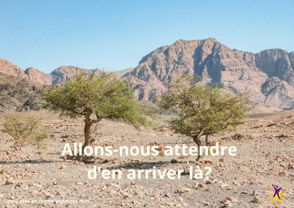 La sècheresse gagne du terrain... allons-nous attendre les bras croisés