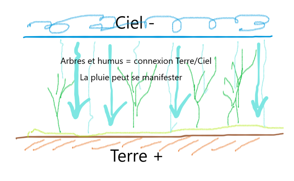 Connexion Terre Ciel