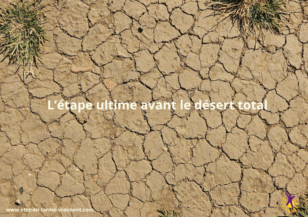 Le désert avance... et si nous choisissions le chemin vers la Vie, la restauration de l'humus