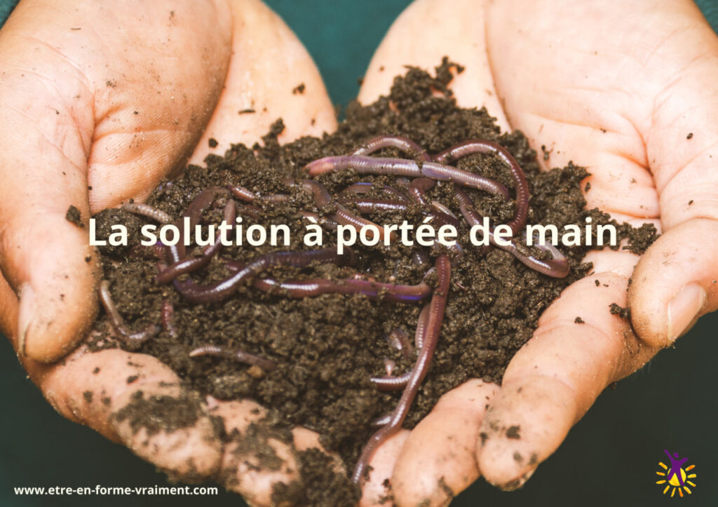 Les vers de terre, les meilleurs alliés de l'agriculture contre la sècheresse
